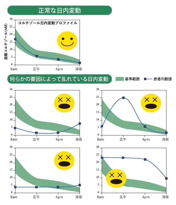 副腎疲労 コルチゾールの日内変動