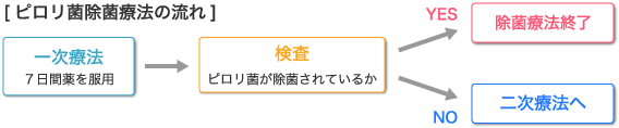 ピロリ菌除菌療法の流れ ピロリ菌除菌療法の流れ